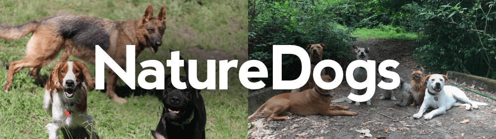 NatureDogs
